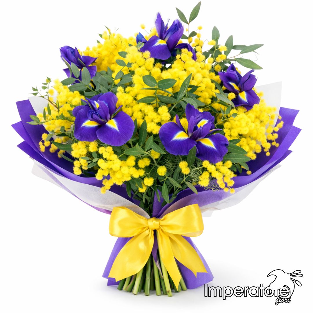 Bouquet iris viola e mimosa gialla - fiori a domicilio per la festa della donna